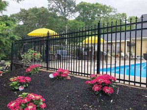 Pool Fencing