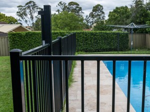 Pool Fencing