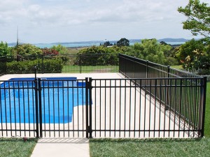 Pool Fencing