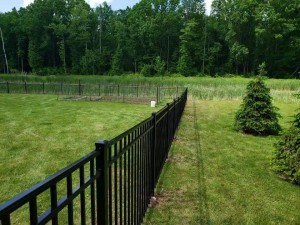 Security Fencing